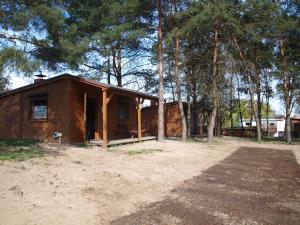 una pequeña cabaña de madera en el bosque con árboles en Agroturystyka Pod bocianem, en Gołuchów