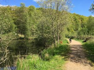 a person riding a bike on a path next to a river at Gemütliche Ferienwohnung im Luftkurort in Albersdorf
