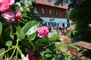 Сад в Weingut Seiner vlg. Kraxner