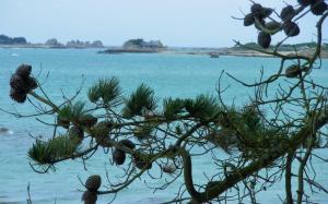 Paesaggio naturale nelle vicinanze del bed & breakfast