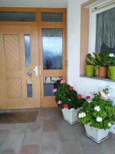 Imagen de la galería de Mühlhaus, en Scena 19 fotos más