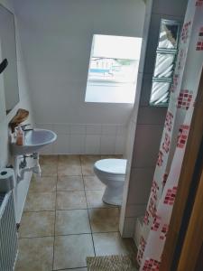 a bathroom with a toilet and a sink at Pensjonacik Gafel in Ruciane-Nida +20 photos