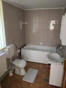 a bathroom with a toilet and a tub and a sink at Casa de vacanta Laurentiu in Călimăneşti +17 photos