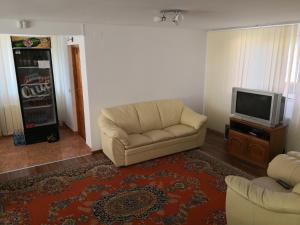 a living room with a couch and a television at Casa de vacanta Laurentiu in Călimăneşti