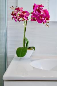 Gallery image of Luxury 12th Floor Beachfront in El Campello