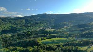 Príroda v okolí apartmánu