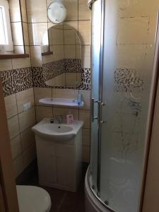 La salle de bains est pourvue de toilettes, d'un lavabo et d'un miroir. dans l'établissement Agroturystyka Przy Świerku, à Chęciny