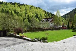 a house on a hill with a grass yard at Casa Edelweiss in Sinaia