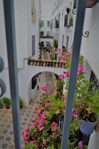 a view from a window of a street with pink flowers at Guimar Esencia en el corazón de la judería in Córdoba