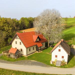 eine Luftansicht eines Hauses mit orangefarbenem Dach in der Unterkunft Tourist Farm Rajšp in Benedikt v Slovenskih Goricah