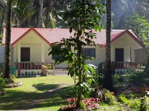 een klein wit huis met een rood dak bij SJ Pabua Travellers Inn in Mambajao