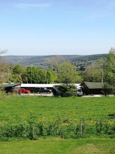 un bus est garé dans un champ d'herbe dans l'établissement A La Reid Paisible, à Theux