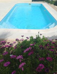 uma piscina com flores roxas em frente em Studio Quiétude em Saint-Aygulf