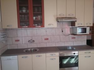 Kuchyň nebo kuchyňský kout v ubytování Apartmani PISAC