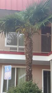 Budova, kde se motel nachází