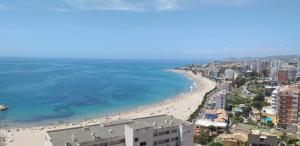 ビリャホヨサにあるBeach apartment Villajoyosaのビーチと海の景色を望めます。
