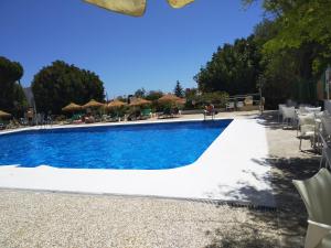 une grande piscine avec des chaises et des parasols blancs dans l'établissement Benalmádena Piscis Sun & Beach, à Benalmádena