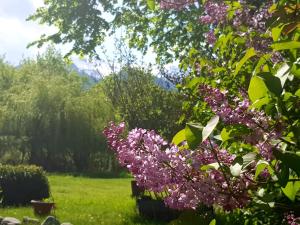 Gallery image of Briza de Munte in Bran