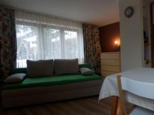 a living room with a green couch and a window at Haus Machreich in Bad Gastein