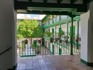 Apartamento Suite Las Setas tesisinde bir balkon veya teras