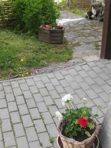 Vonkajšia záhrada v ubytovaní Chalupa u Matúšů Jeseníky