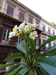 Afbeelding uit fotogalerij van B&B Santa Caterina in Palermo