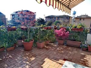 Appartamento con terrazzo a Gorgonzola في غورغونزولا: حديقة بها العديد من النباتات الفخارية على الفناء