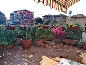 a garden with many potted plants on a patio at Appartamento con terrazzo a Gorgonzola in Gorgonzola