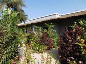 Gallery image of CAP BAY in Cap Skirring