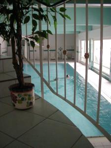 uma planta em vasos sentada ao lado de uma piscina em Appartement 21 em Sankt Martin bei Lofer