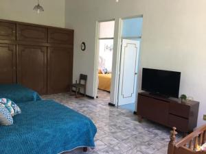 1 dormitorio con 1 cama y TV de pantalla plana en Antigua Casa de la Alameda, en Aguascalientes
