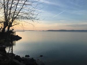 Rose Apartman 8638 Balatonlelle, Köztársaság u.50 kép - 2