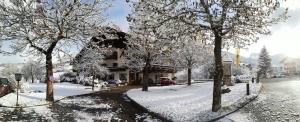 une rue enneigée avec des arbres et un bâtiment dans l'établissement Hotel Rodes, à Ortisei