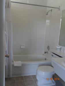 Koupelna v ubytování Hospitality Inn + 18 fotografií