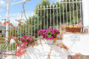 a white fence with potted flowers on a wall at La Meriggia B&B in Pisciotta +70 photos