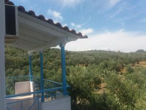 Príroda v okolí apartmánu
