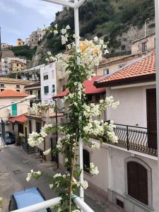 Foto dalla galleria di Il Castello a Scilla