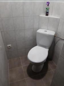 a bathroom with a white toilet in a stall at Privatzimmer Roland in Hutten