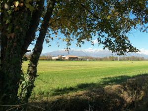 Gallery image of Fattoria Delle Rose in Salussola