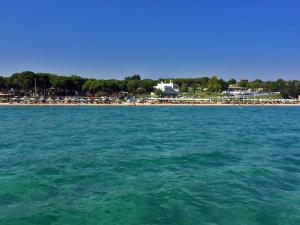 Táj Show holiday homes közelében