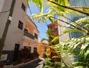 un callejón entre dos edificios con plantas en Apartamentos Andrea, en Calera