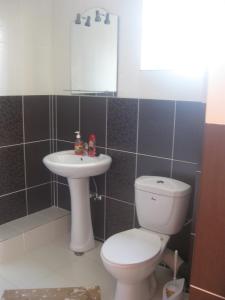 Galeriebild der Unterkunft Casa Sidor in Baile Felix