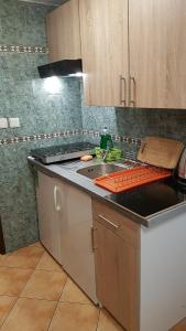 - une cuisine avec un évier et un comptoir dans l'établissement Noclegi Silesia, à Tychy