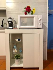 a microwave sitting on top of a kitchen counter at T-Village502 in Anzio