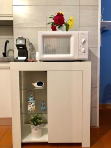 a microwave sitting on top of a kitchen counter at T-Village502 - ascensore connesso direttamente con la spiaggia - Posto auto privato in Anzio +28 photos