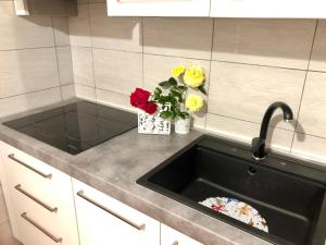 a kitchen counter with a sink and flowers in a vase at T-Village502 in Anzio