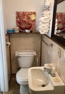 W łazience znajduje się toaleta, umywalka i lustro. w obiekcie Chalet Motel w mieście Custer