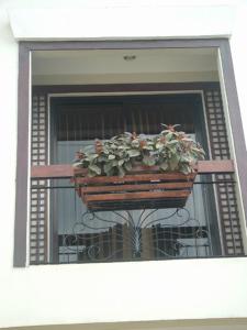 塔比拉蘭的住宿－達溫代莊園酒店，阳台上的窗户上放着盆栽植物
