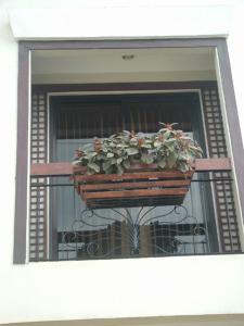 una ventana con una maceta en el balcón en Darunday Manor, en Tagbilaran City 22 fotos más