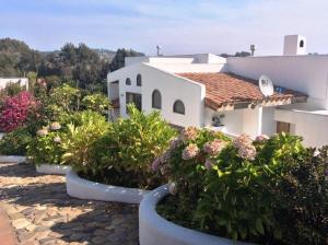un groupe de plantes en pot devant une maison dans l'établissement Casa Marbella Resort, à Maitencillo